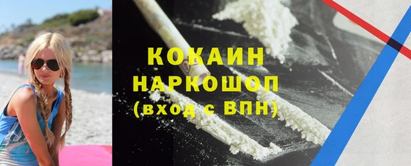 молекула духа Алексин