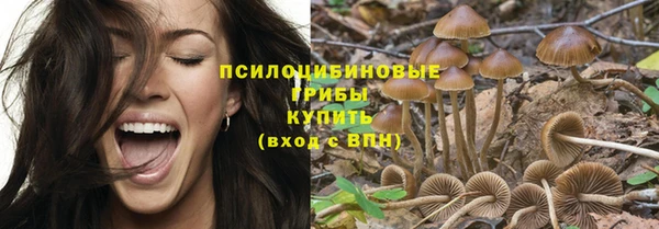 молекула духа Алексин