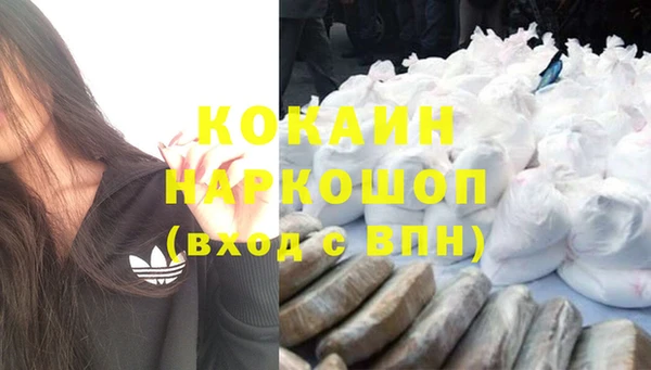 молекула духа Алексин