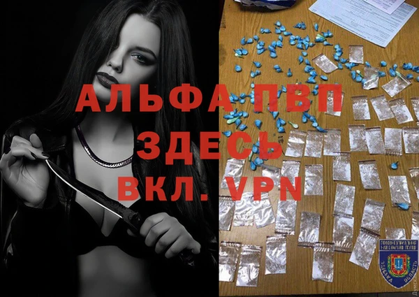 молекула духа Алексин